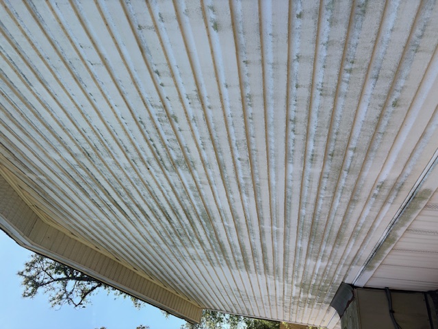 Soft Washing example 3